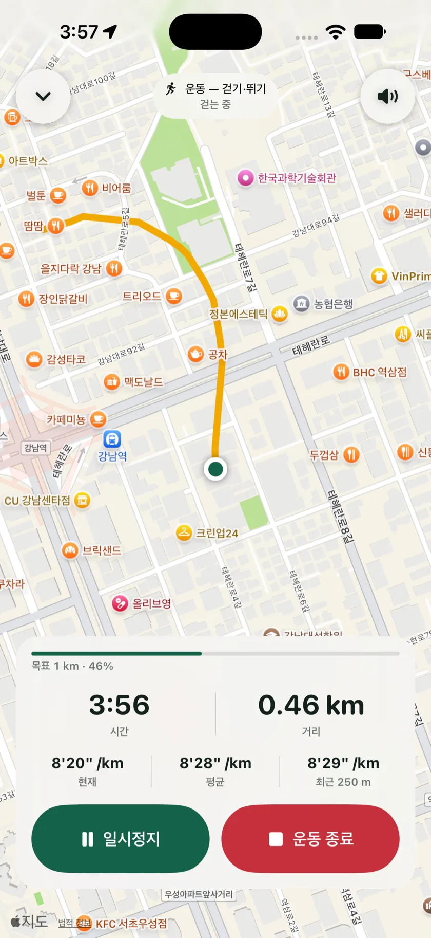 운동은 따로 기록합니다